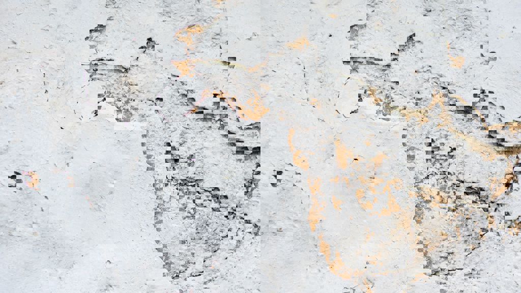 Elena Mozhvilo Arlds1dwvuw Unsplash
